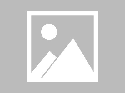 貂皮选购全攻略 从入门到精通不花冤枉钱