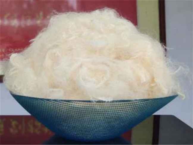 大豆纤维整理全解析带你走进健康睡眠新时代