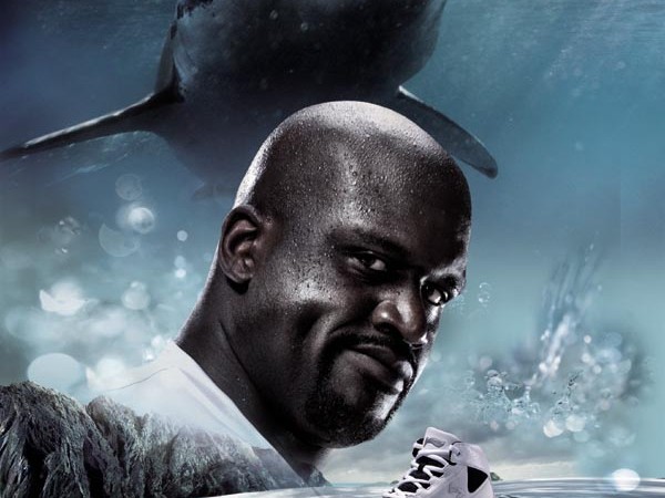 鲨鱼不止一个牌子 聊聊不同领域里那些叫鲨鱼的品牌