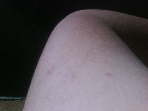 豆豆整理全解析 轻松打造整洁家园