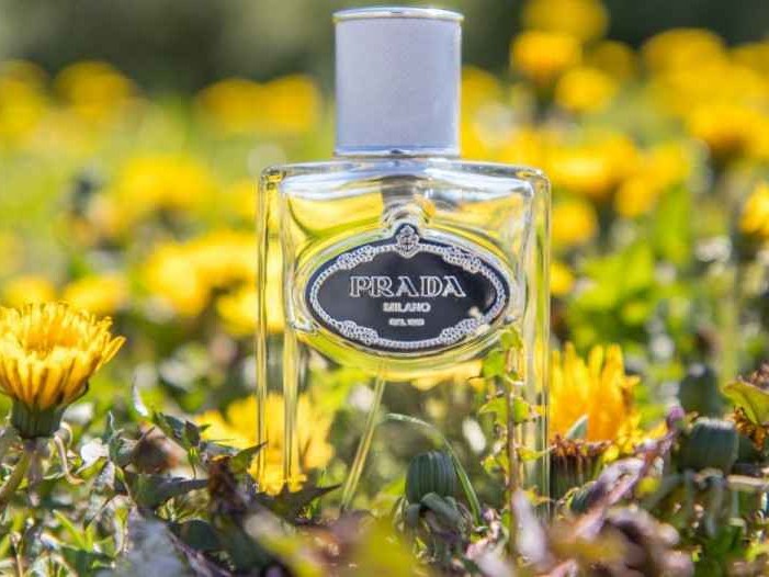 别再乱买了！这才是真正好闻的香水味道