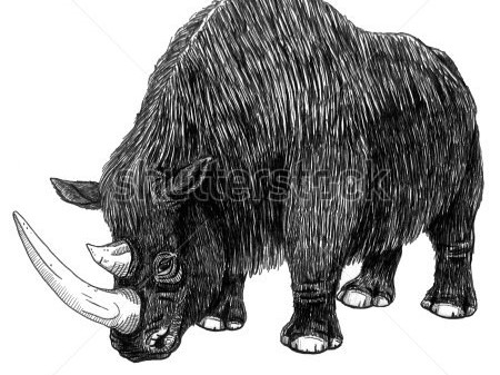 街上撞名不可怕，谁不好用谁尴尬——带你理清那些都叫“犀牛”的实力派品牌